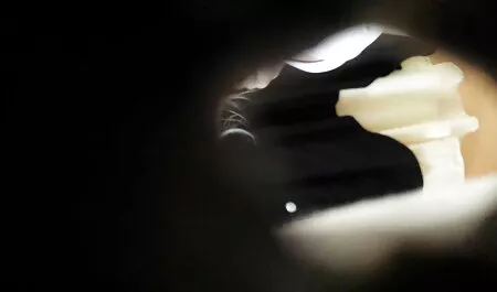 ล่อนจ้อนอยู่ในห้องน้ำและแสดงทั้งหมดเสน่ห์ วิดีโอ หนัง โป็